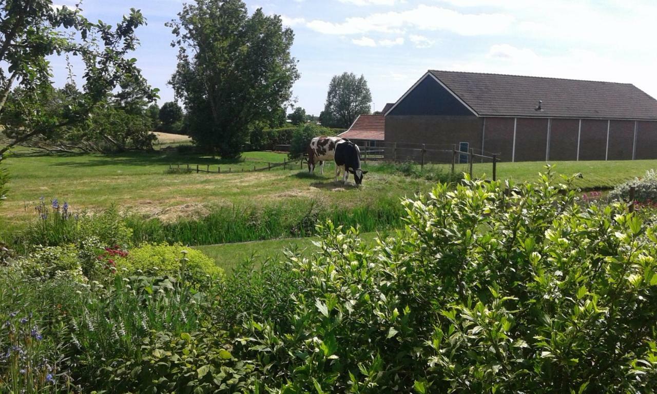 Bbwesteinder Vof Kudelstaart Bagian luar foto